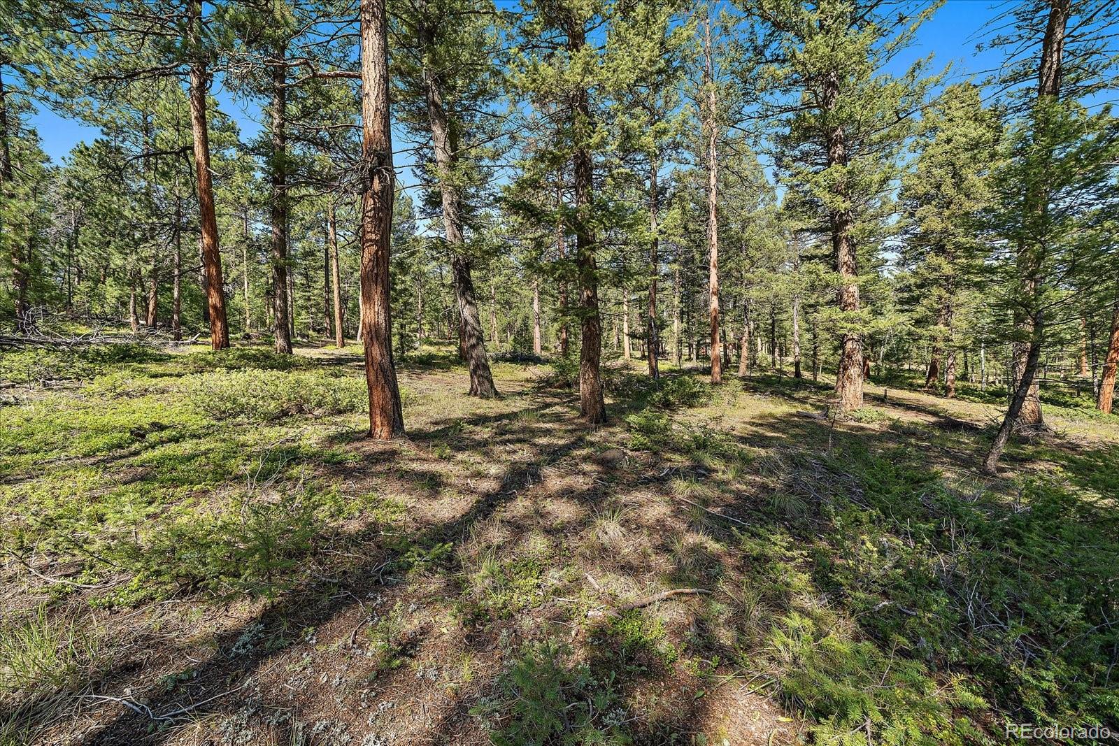 0 Evergreen Drive Conifer CO 80433