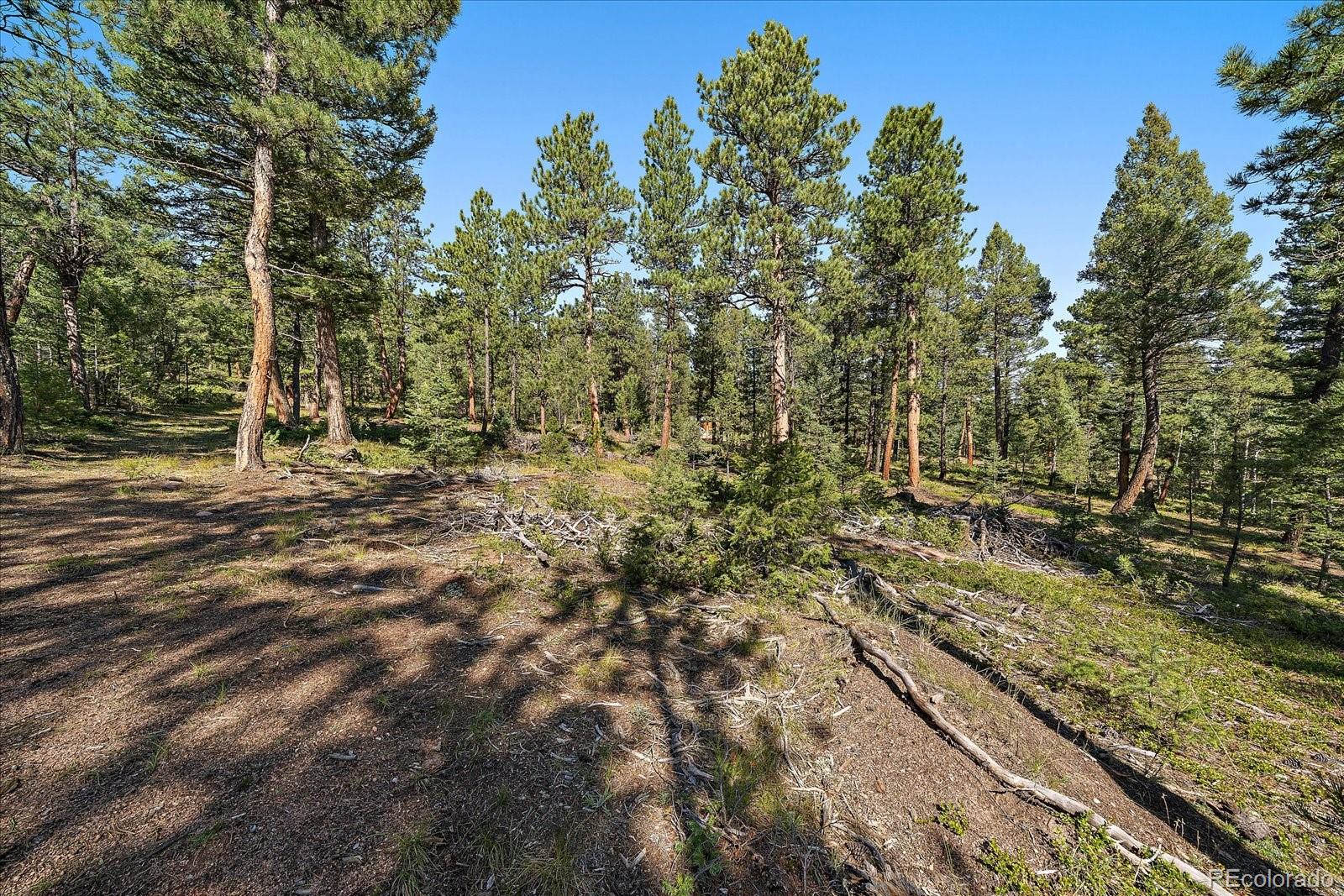 0 Evergreen Drive Conifer CO 80433