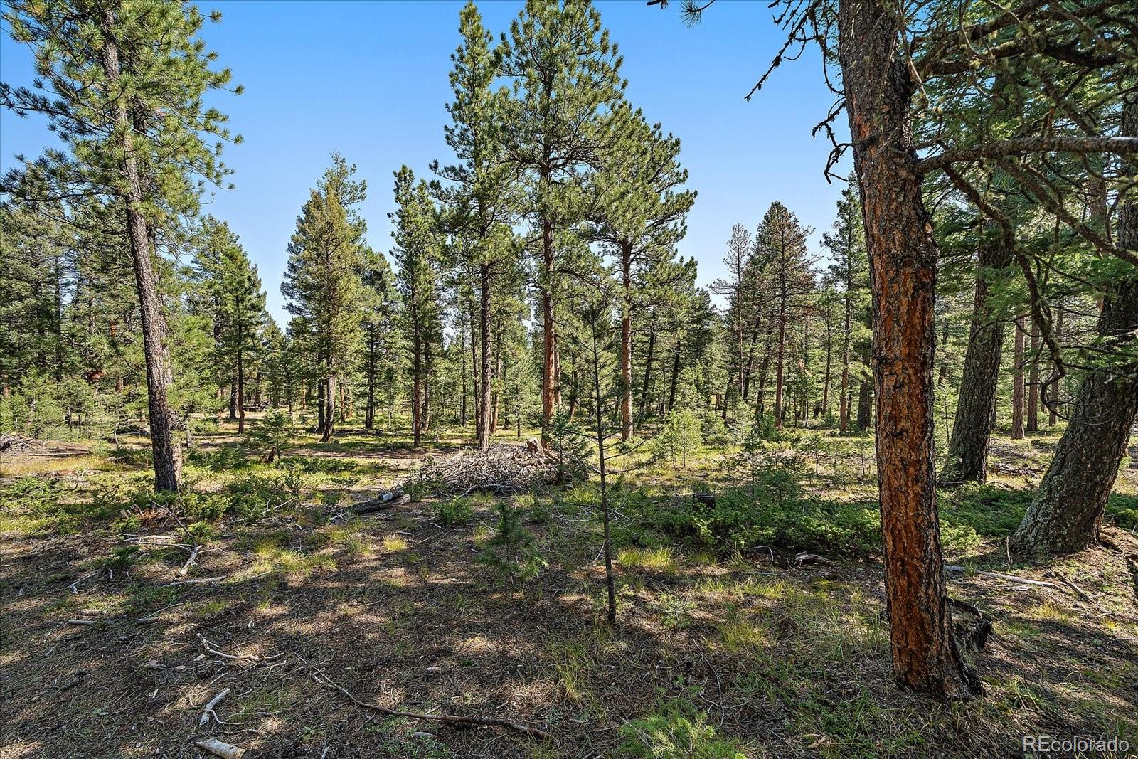 0 Evergreen Drive Conifer CO 80433