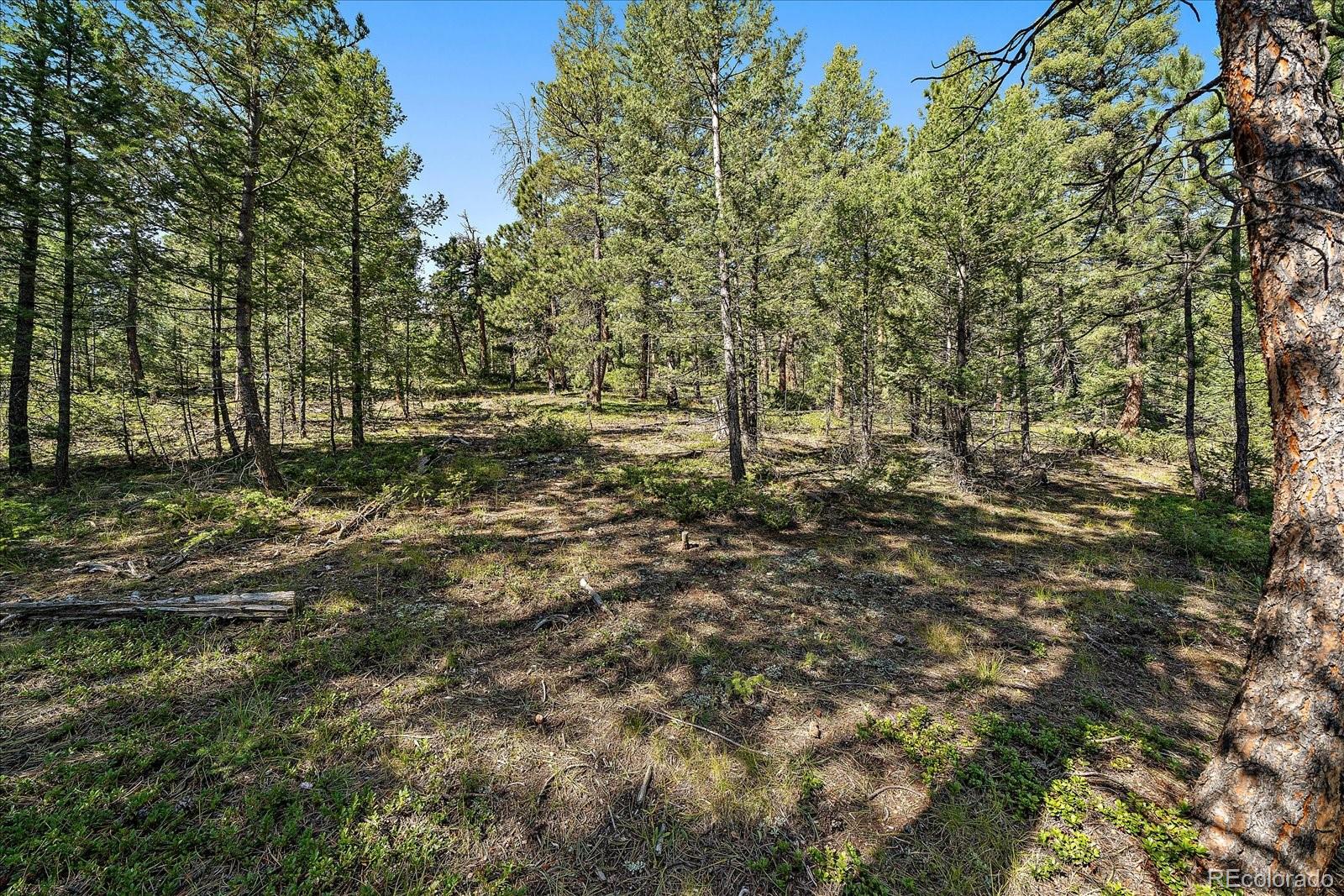 0 Evergreen Drive Conifer CO 80433