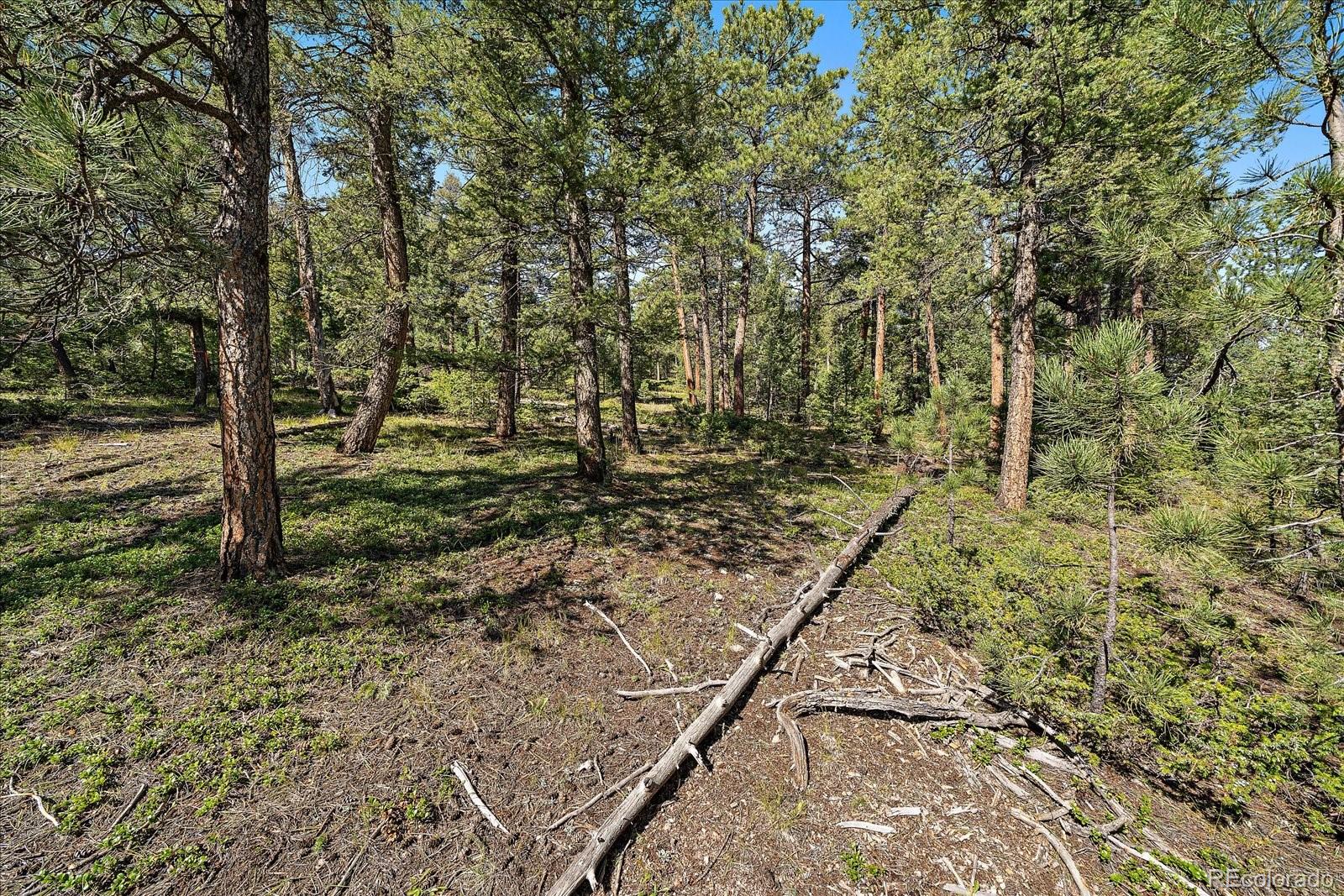 0 Evergreen Drive Conifer CO 80433