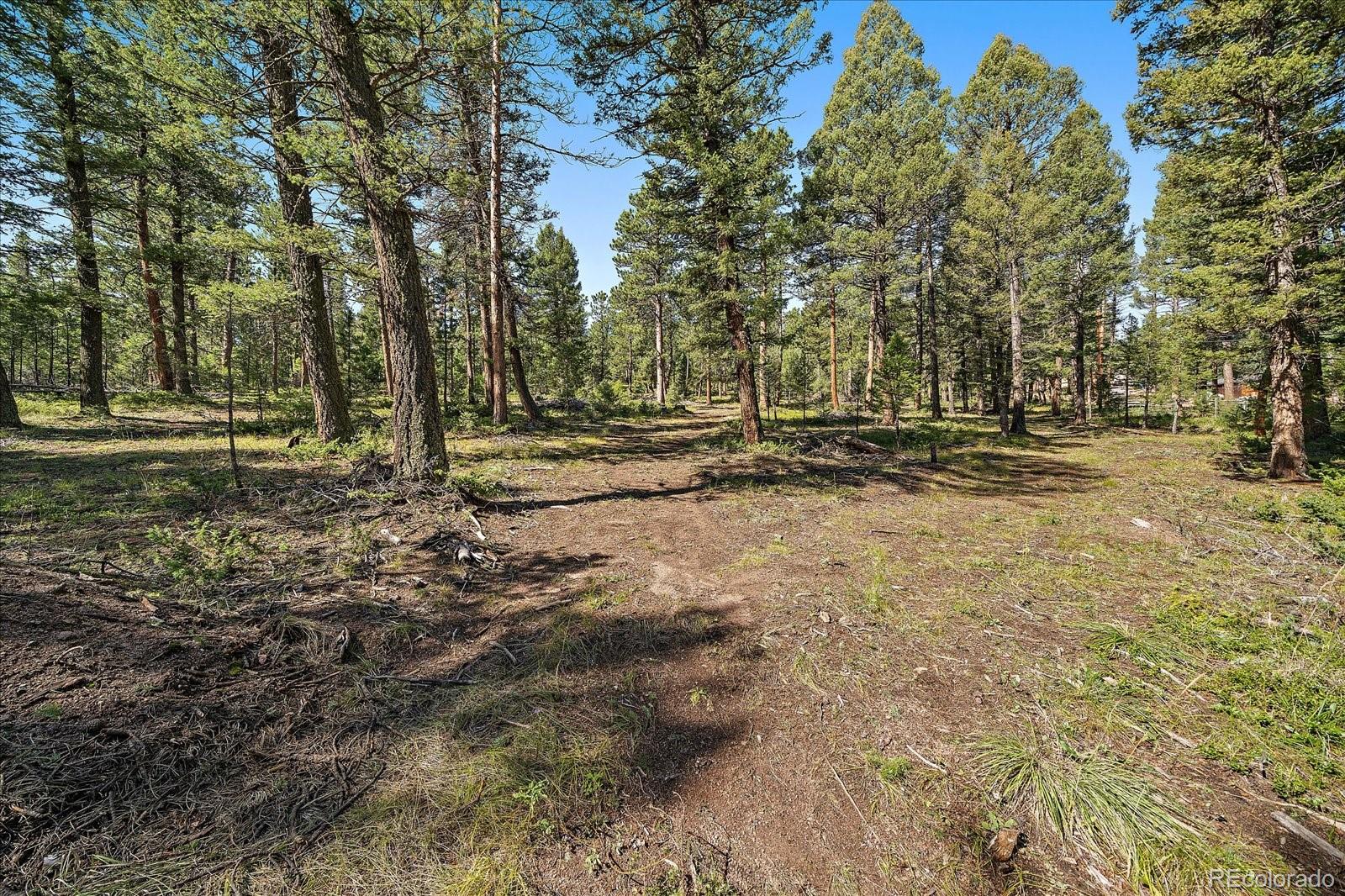 0 Evergreen Drive Conifer CO 80433
