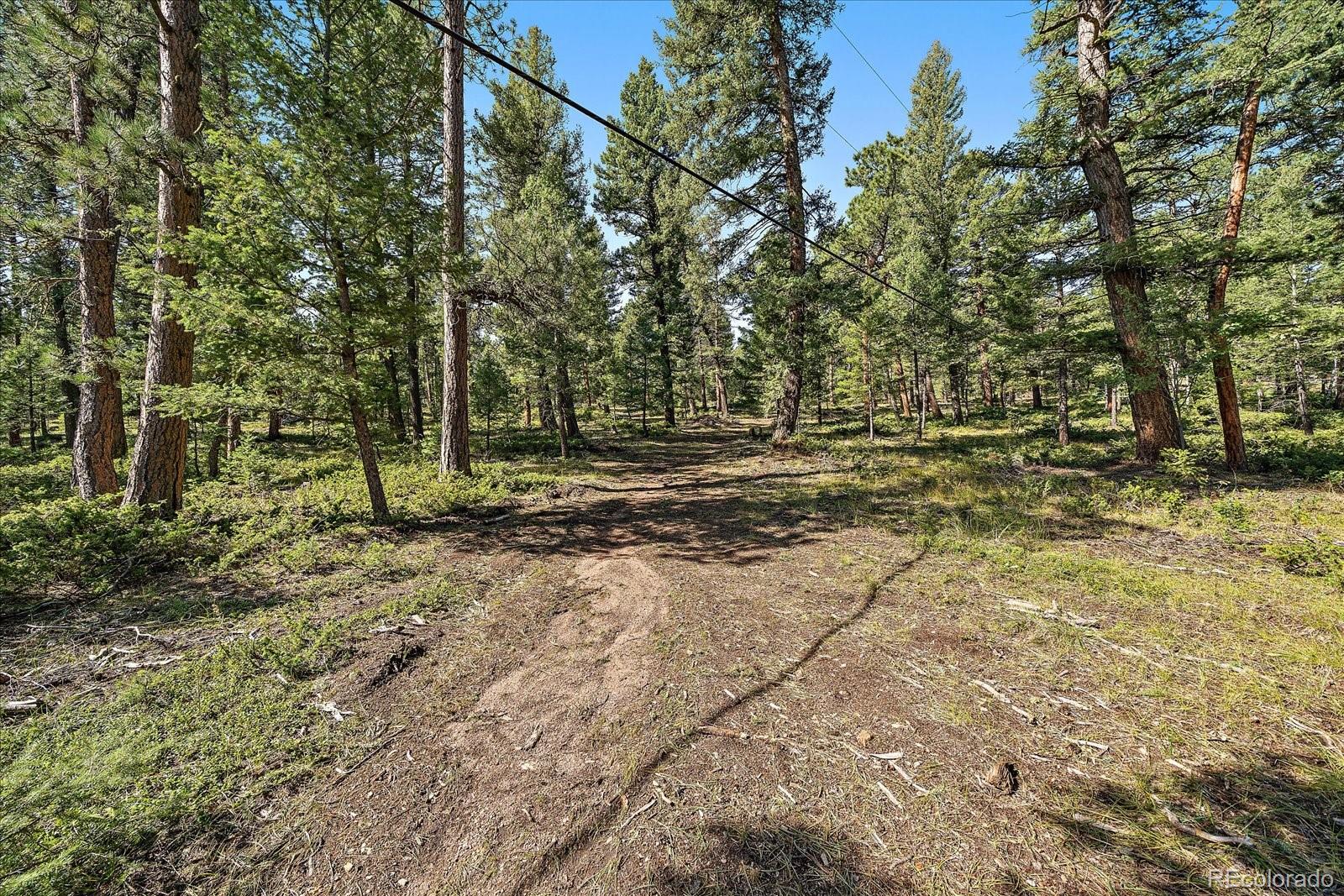 0 Evergreen Drive Conifer CO 80433