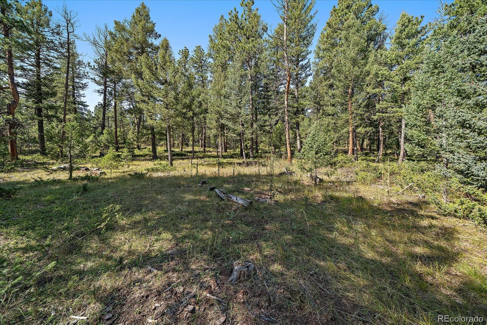 0 Evergreen Drive Conifer CO 80433