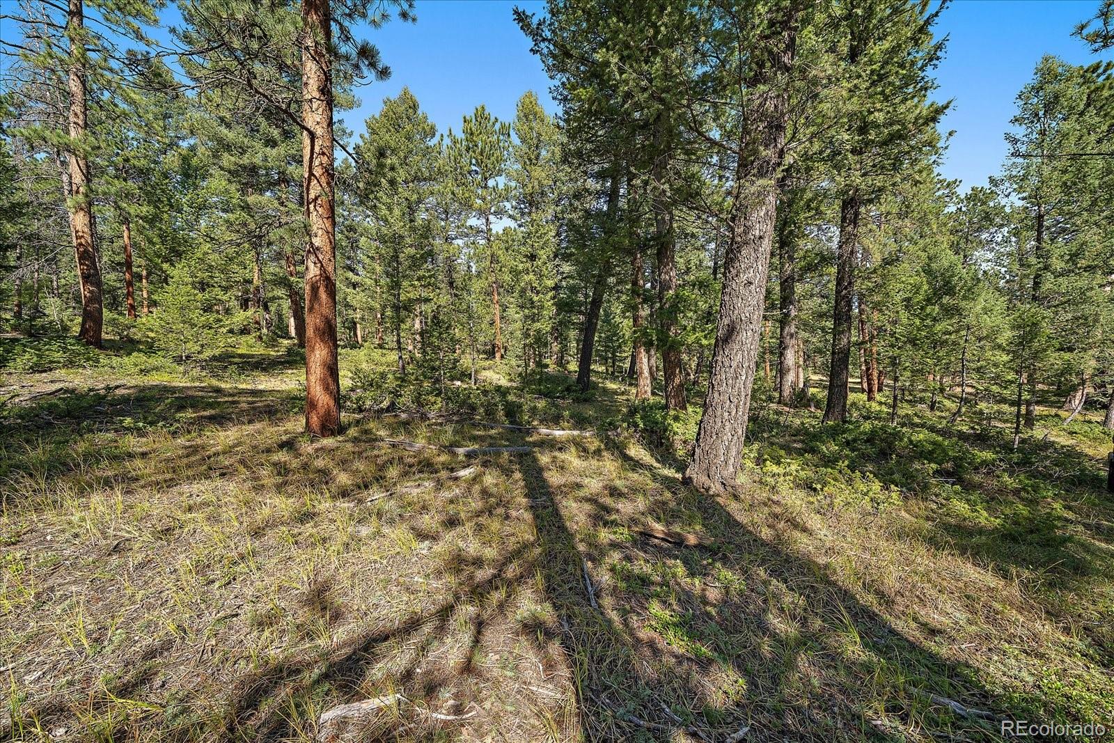 0 Evergreen Drive Conifer CO 80433