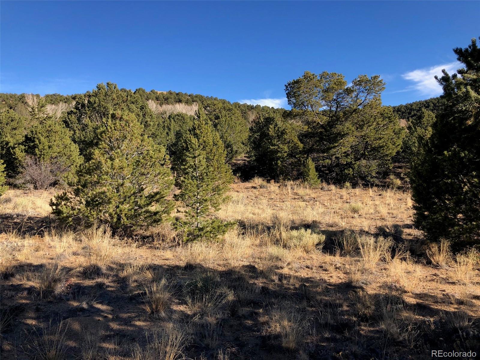 14771 Granite Parkway Salida CO 81201