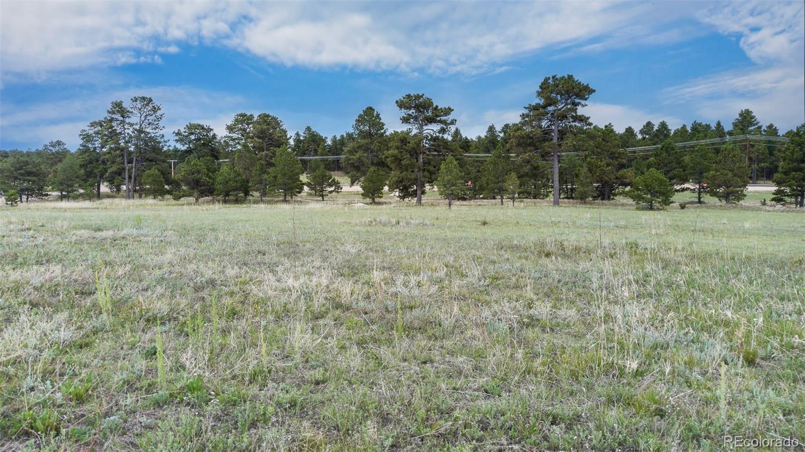 11809 Flap Jack Lane Colorado Springs CO 80908