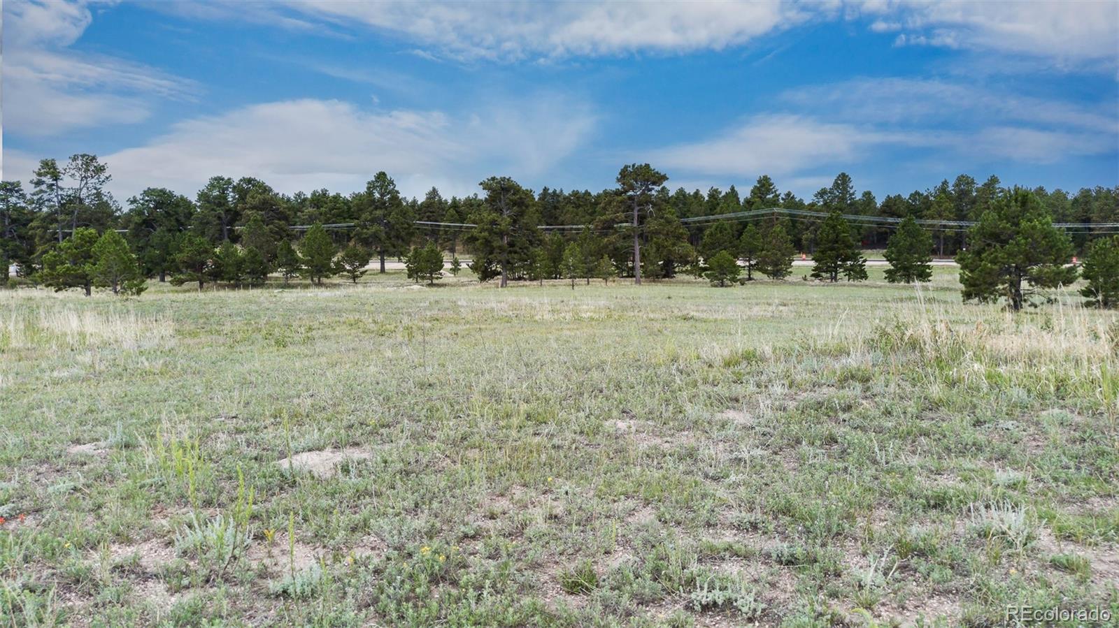 11809 Flap Jack Lane Colorado Springs CO 80908