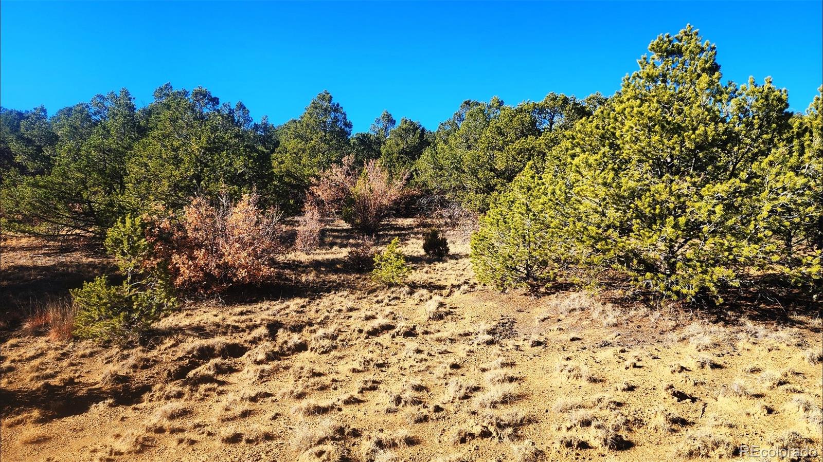 11298 Primero Ranch Trinidad CO 81082