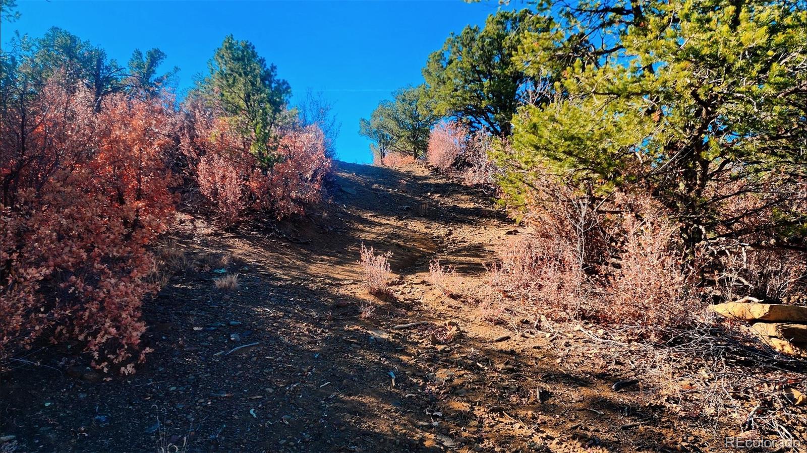 11298 Primero Ranch Trinidad CO 81082
