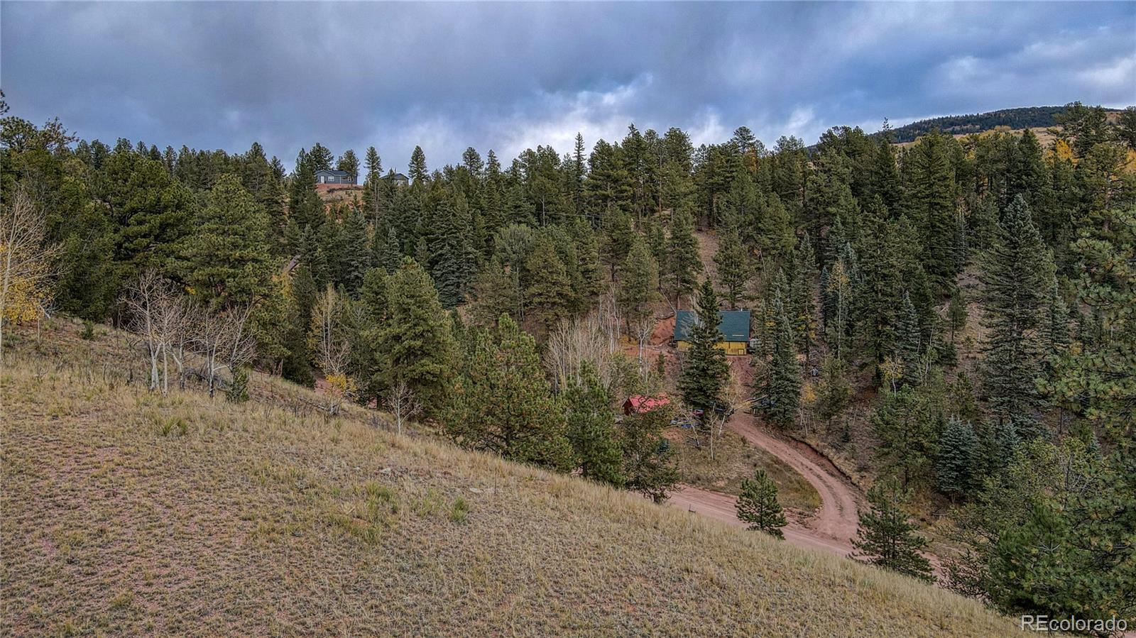 65 Portland Drive Cripple Creek CO 80813