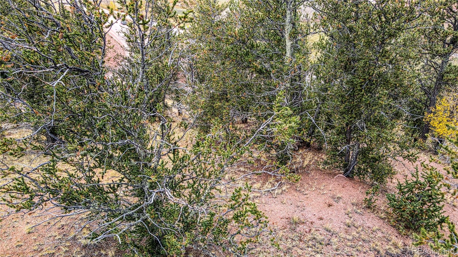 65 Portland Drive Cripple Creek CO 80813