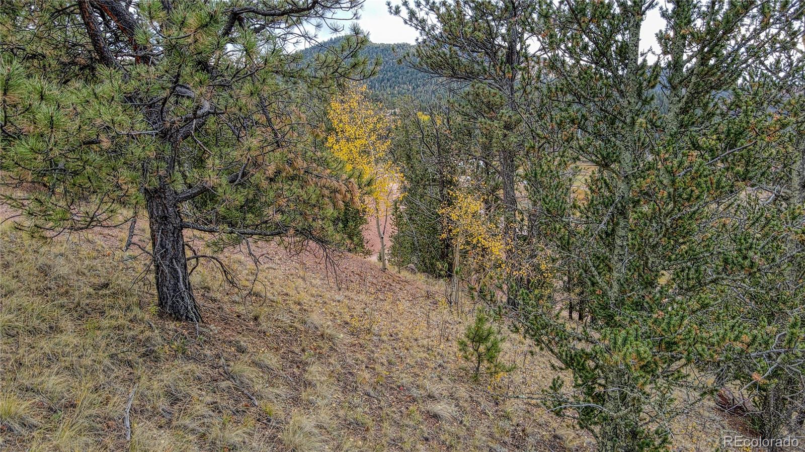 65 Portland Drive Cripple Creek CO 80813