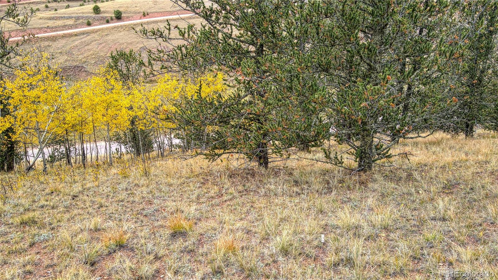 65 Portland Drive Cripple Creek CO 80813