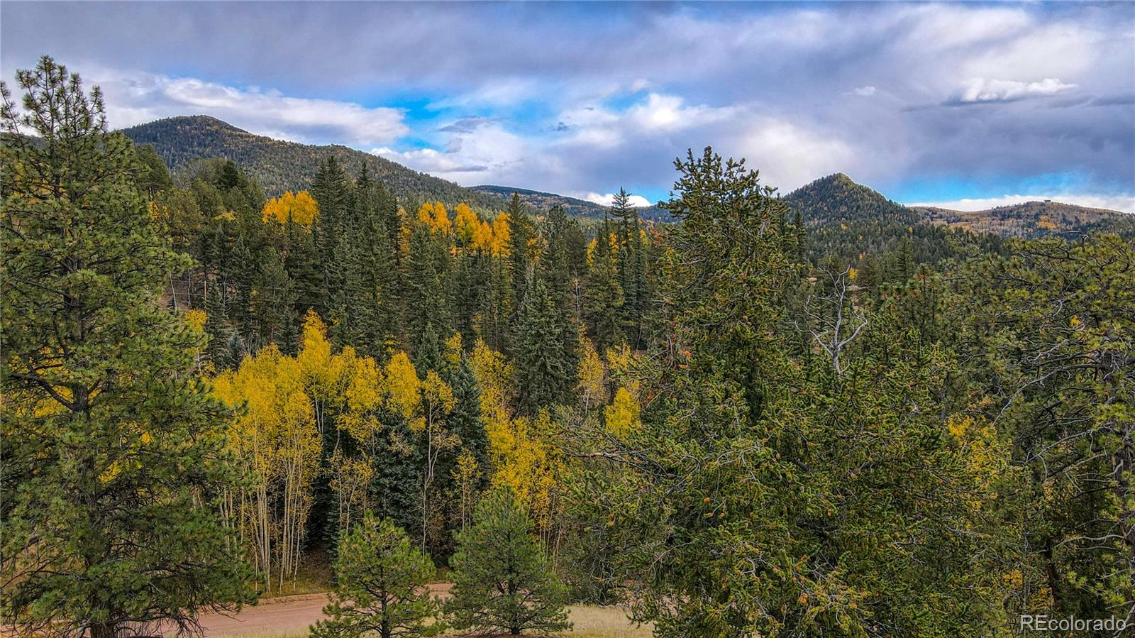 65 Portland Drive Cripple Creek CO 80813
