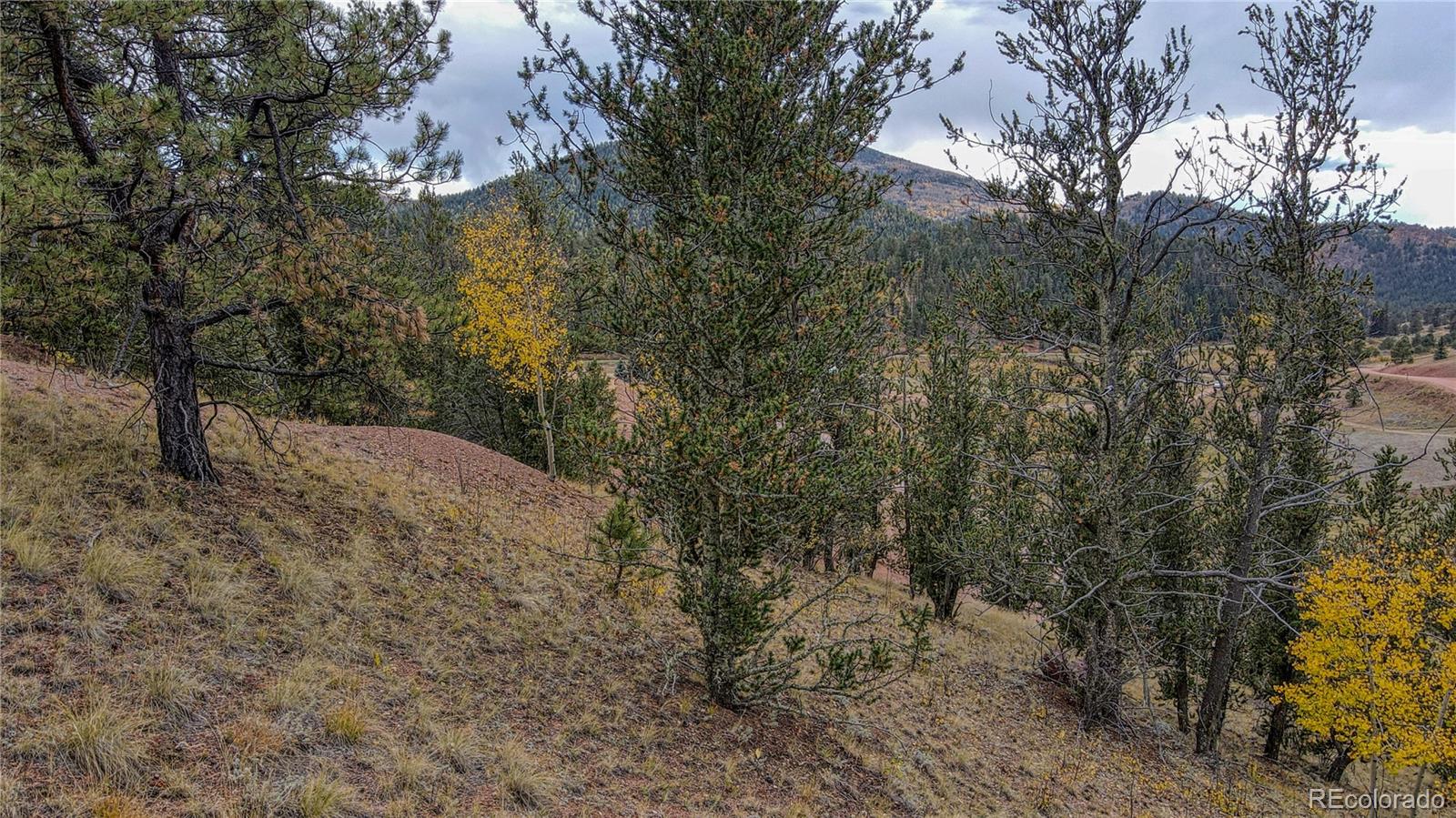 65 Portland Drive Cripple Creek CO 80813