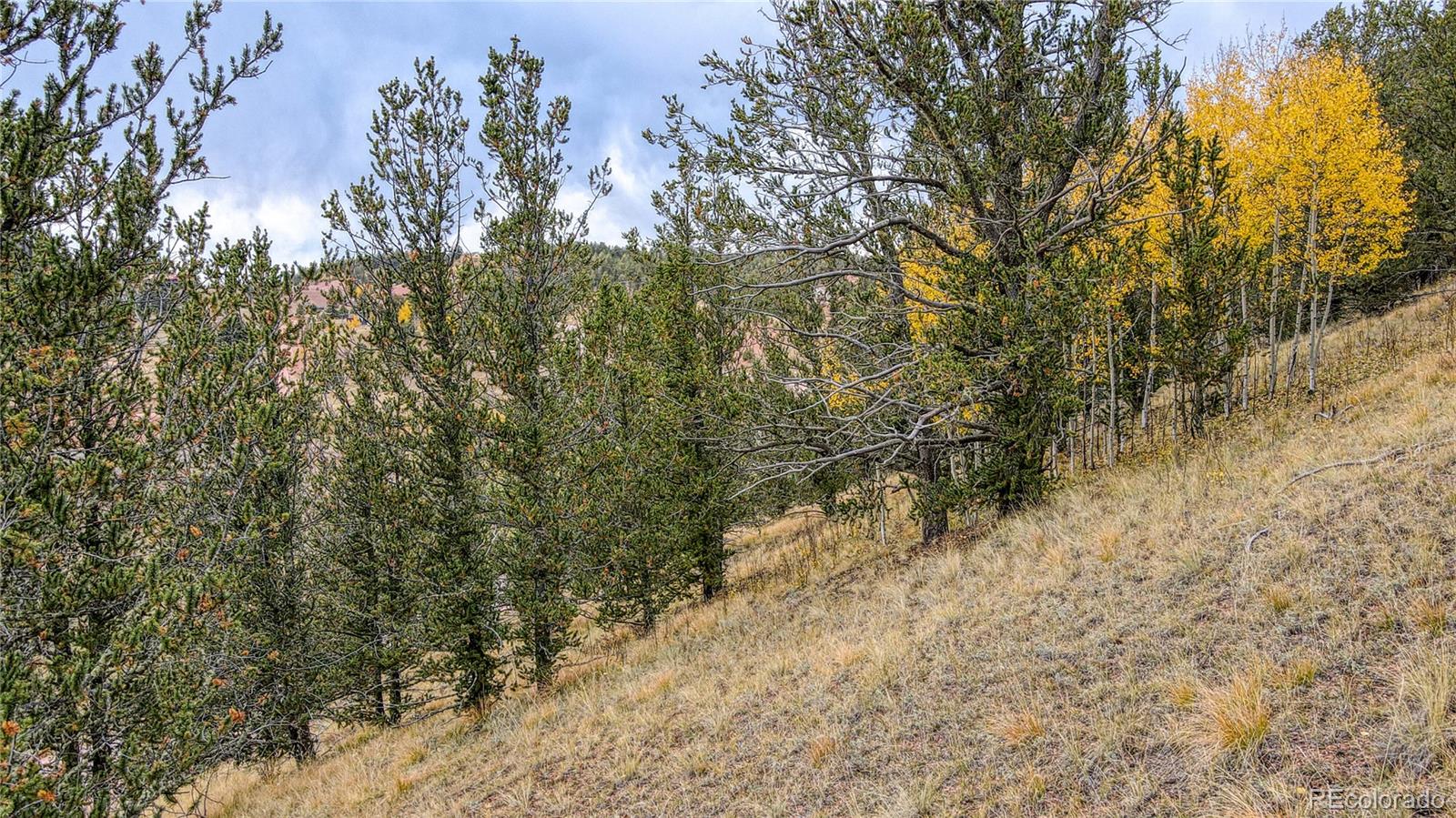 65 Portland Drive Cripple Creek CO 80813