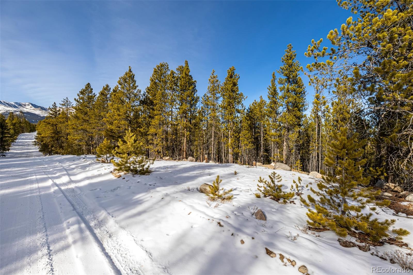 539 Sequoia Drive Leadville CO 80461
