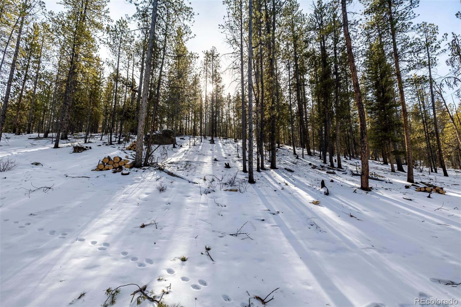 539 Sequoia Drive Leadville CO 80461