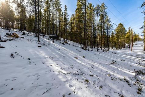 539 Sequoia Drive Leadville CO 80461