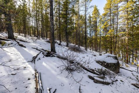 539 Sequoia Drive Leadville CO 80461