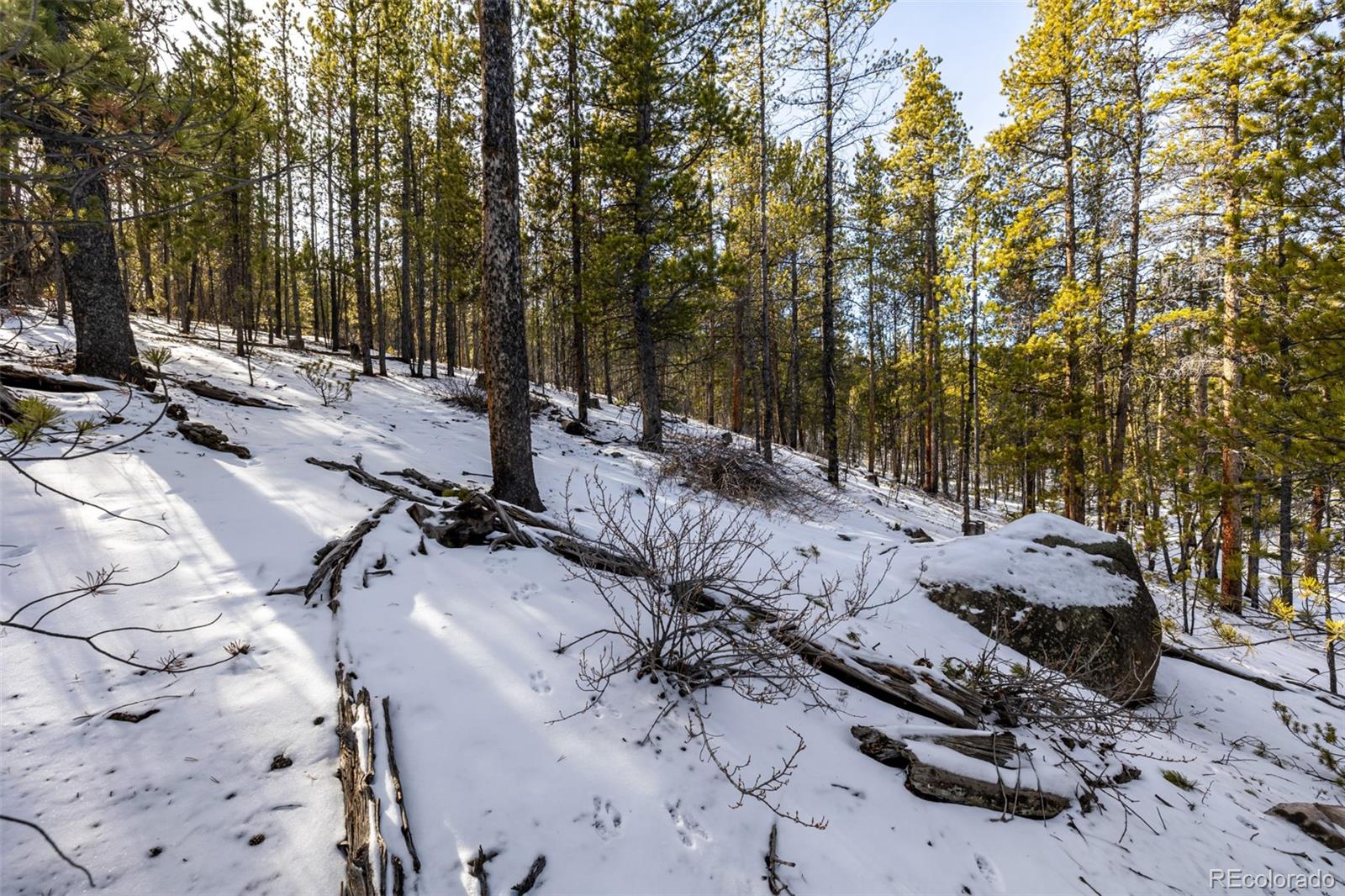 539 Sequoia Drive Leadville CO 80461