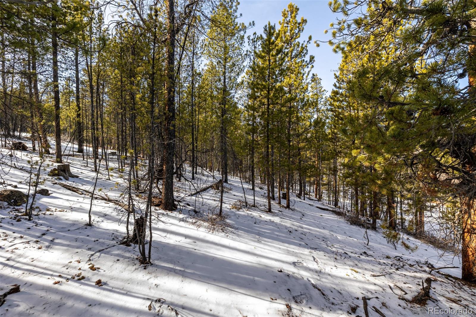 539 Sequoia Drive Leadville CO 80461