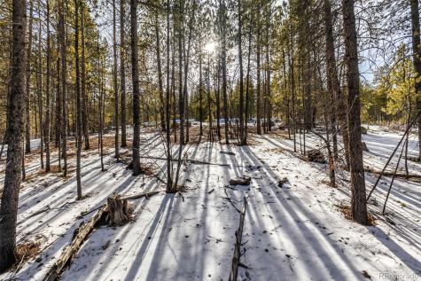 539 Sequoia Drive Leadville CO 80461