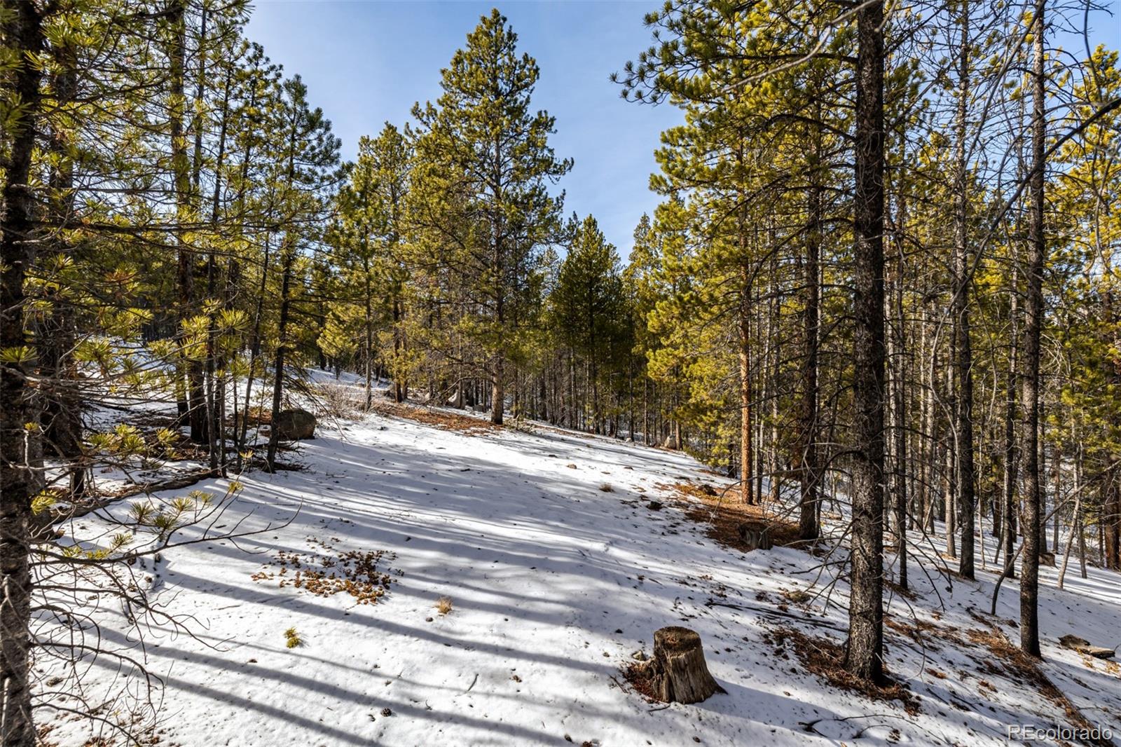 539 Sequoia Drive Leadville CO 80461