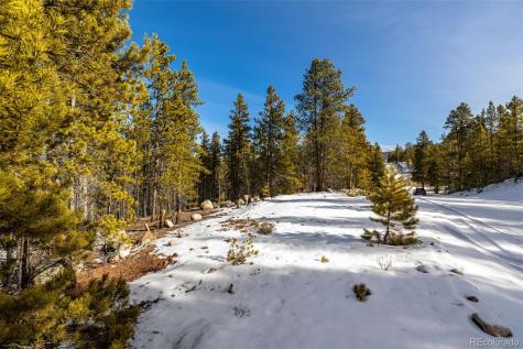 539 Sequoia Drive Leadville CO 80461