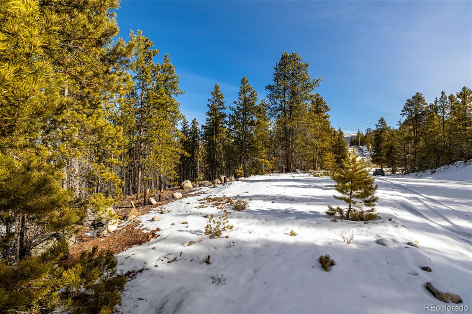 539 Sequoia Drive Leadville CO 80461