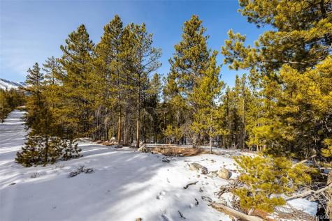 539 Sequoia Drive Leadville CO 80461