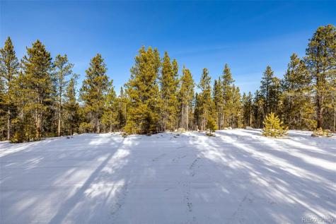 539 Sequoia Drive Leadville CO 80461