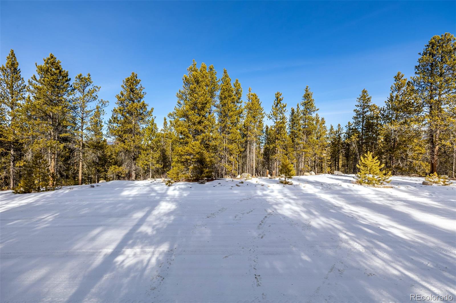 539 Sequoia Drive Leadville CO 80461