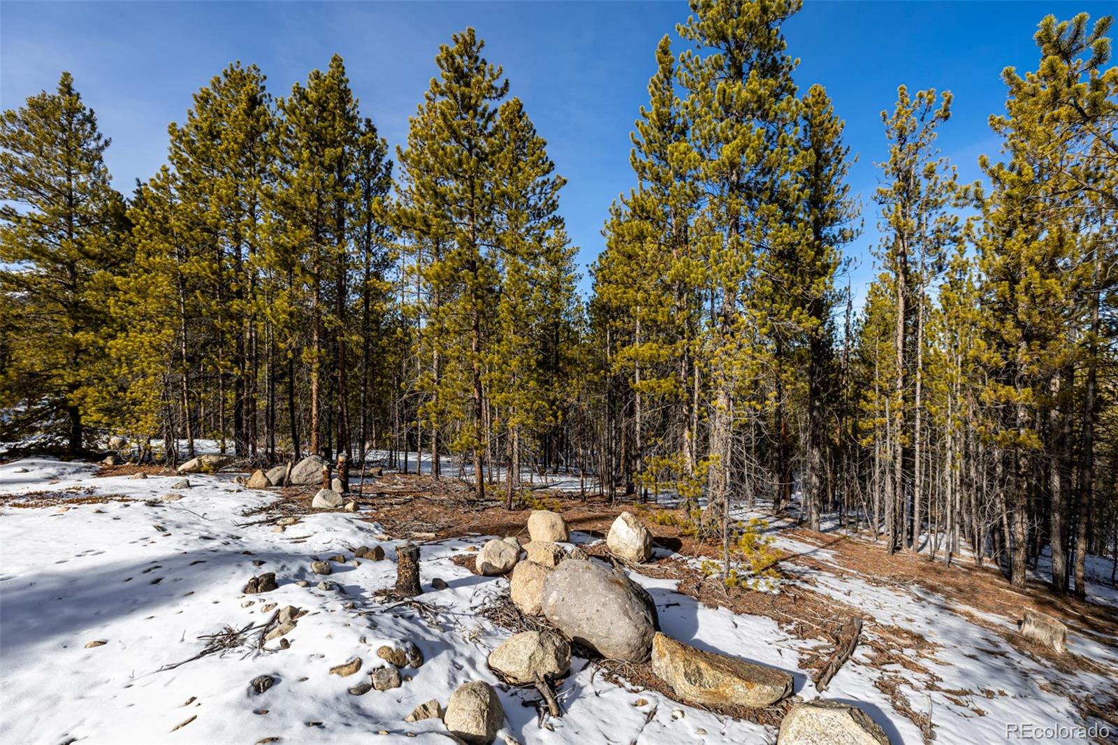 539 Sequoia Drive Leadville CO 80461