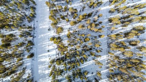 539 Sequoia Drive Leadville CO 80461