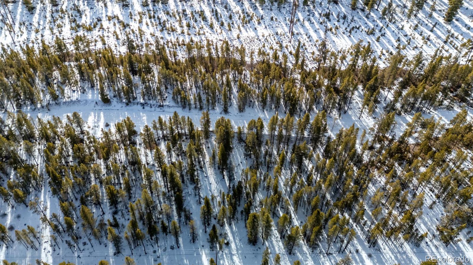 539 Sequoia Drive Leadville CO 80461