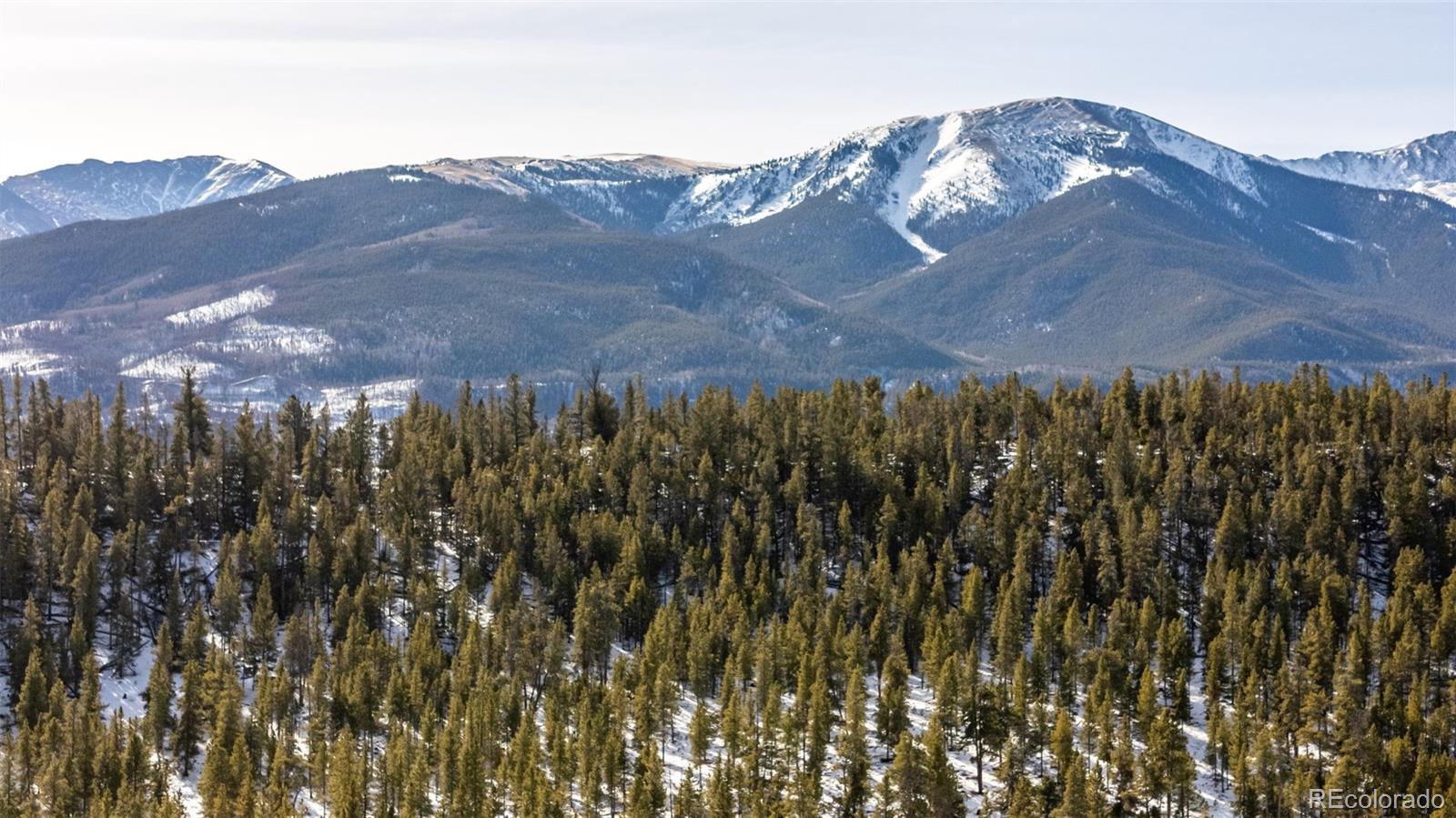 539 Sequoia Drive Leadville CO 80461