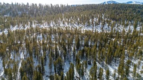 539 Sequoia Drive Leadville CO 80461
