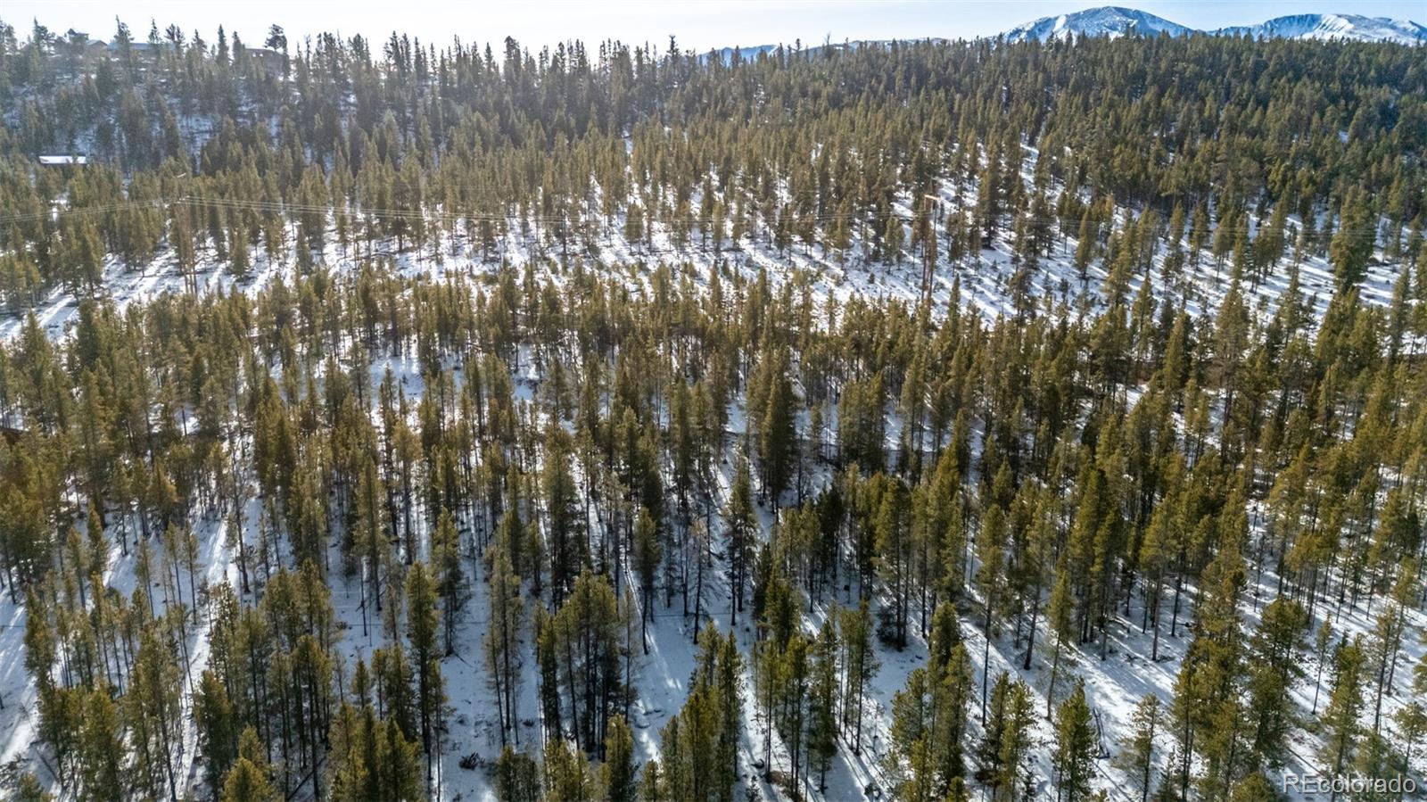 539 Sequoia Drive Leadville CO 80461