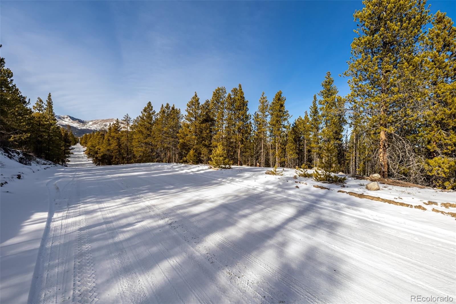 539 Sequoia Drive Leadville CO 80461