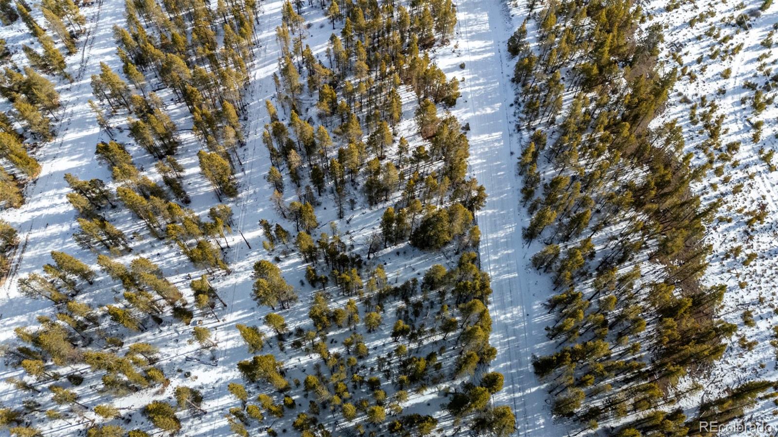 539 Sequoia Drive Leadville CO 80461