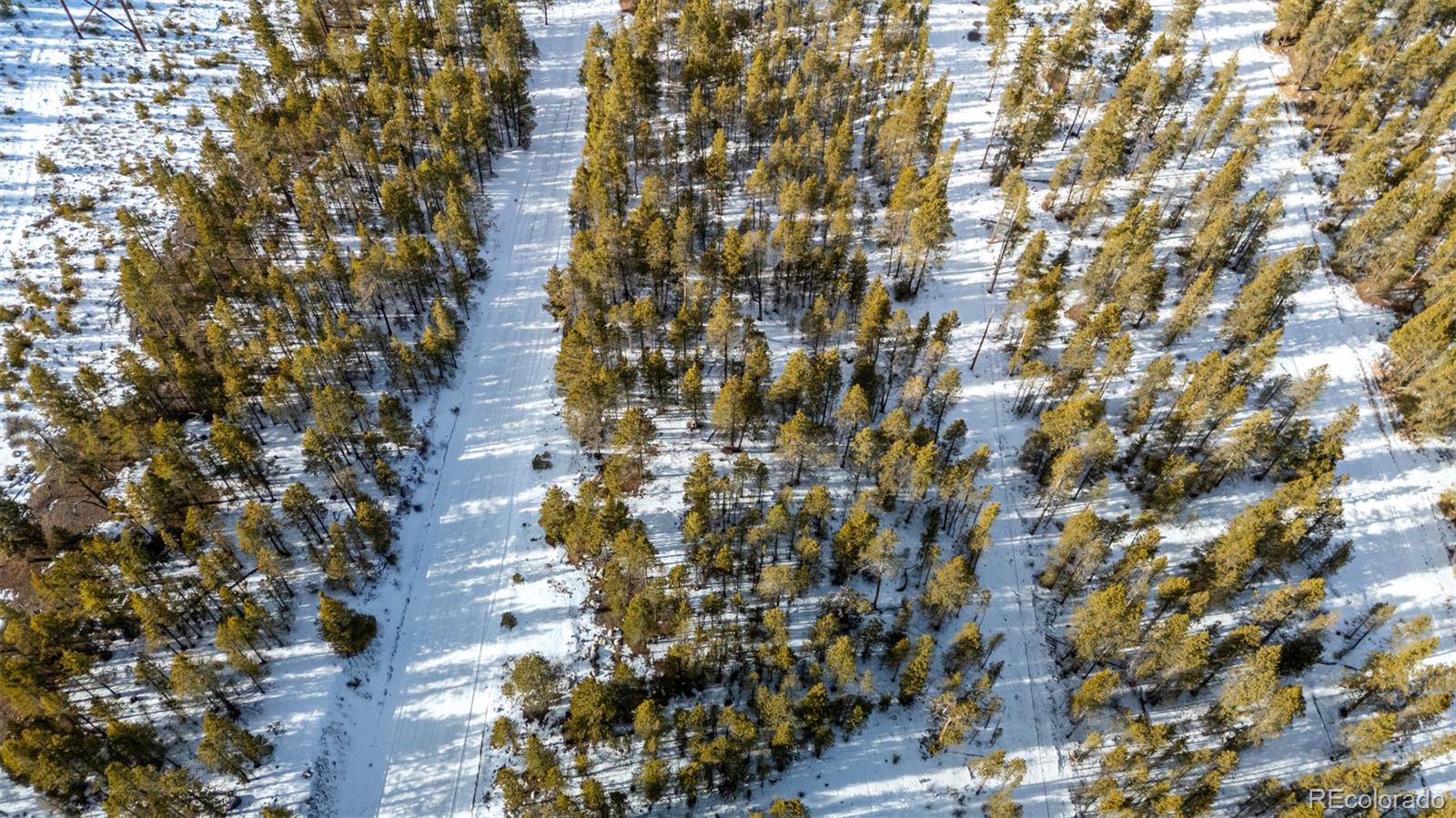 539 Sequoia Drive Leadville CO 80461