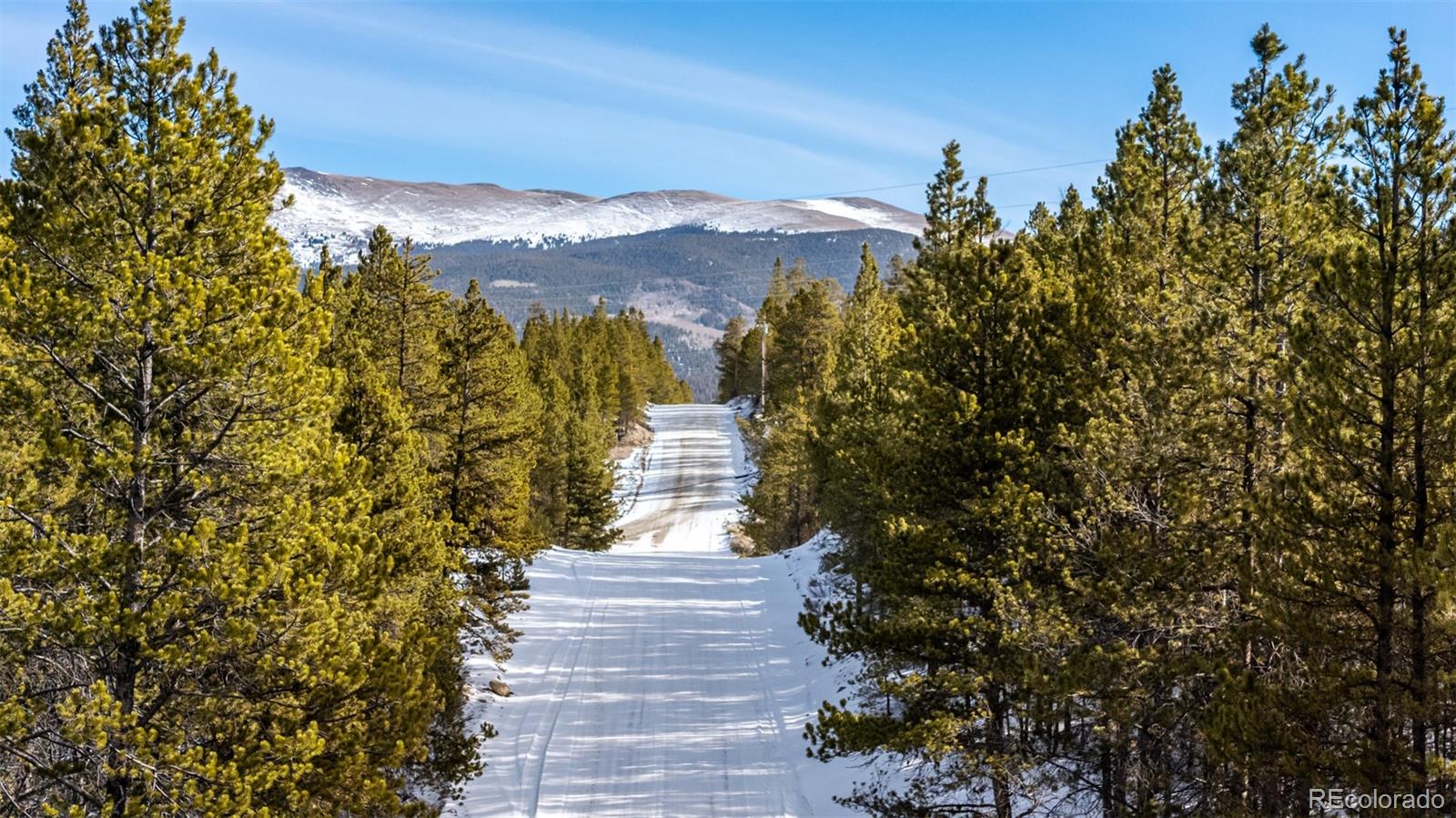 539 Sequoia Drive Leadville CO 80461