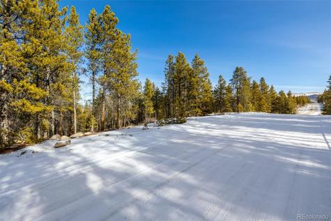 539 Sequoia Drive Leadville CO 80461