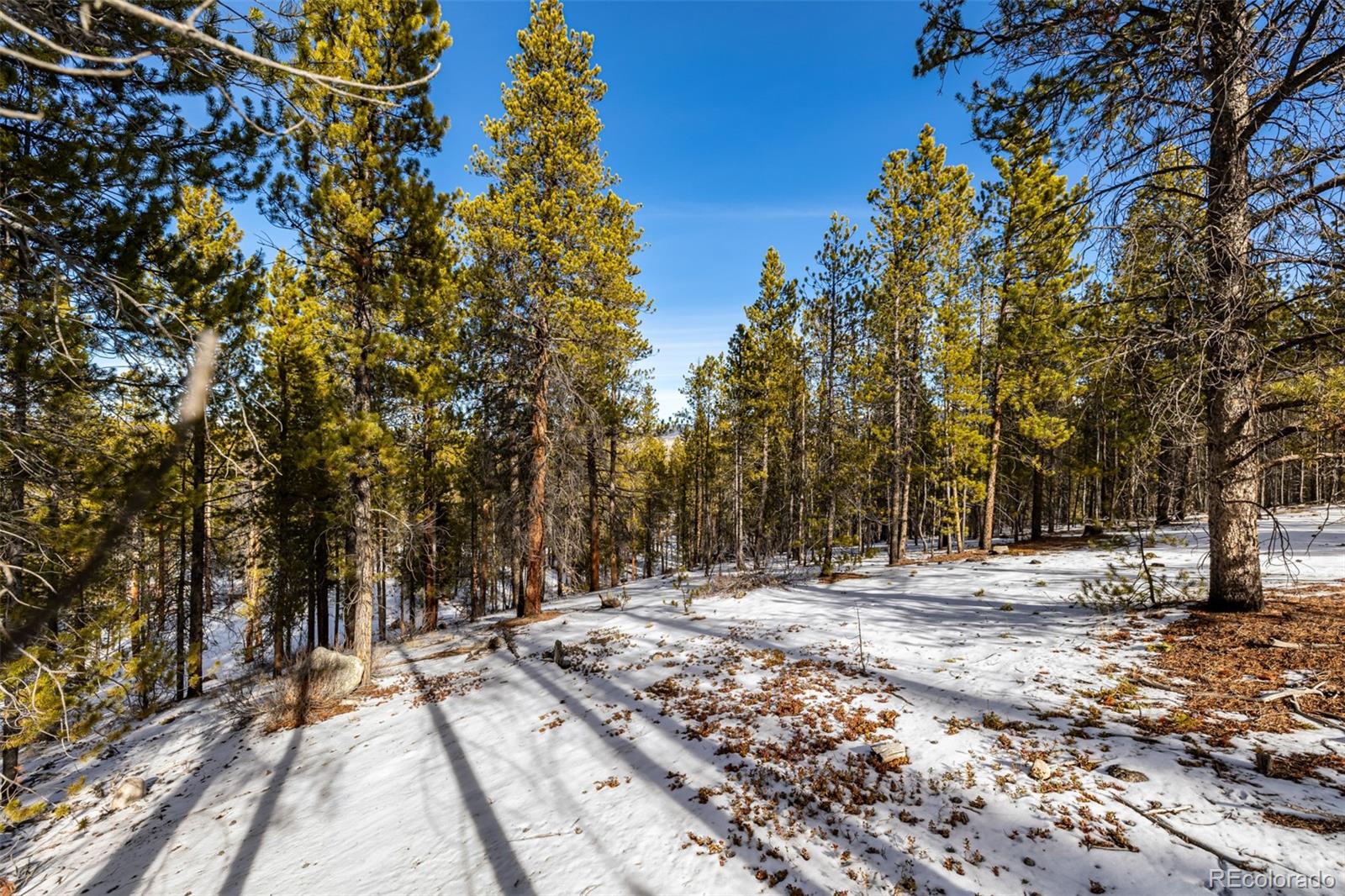 539 Sequoia Drive Leadville CO 80461