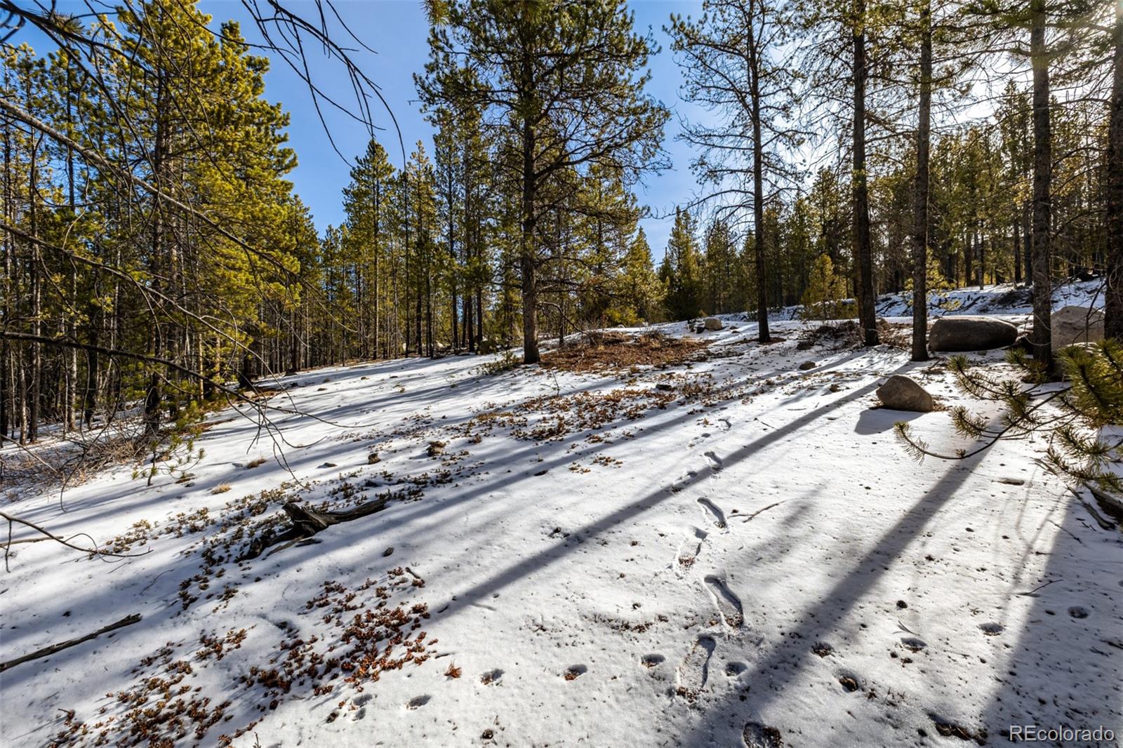 539 Sequoia Drive Leadville CO 80461