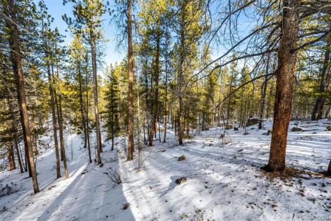 539 Sequoia Drive Leadville CO 80461