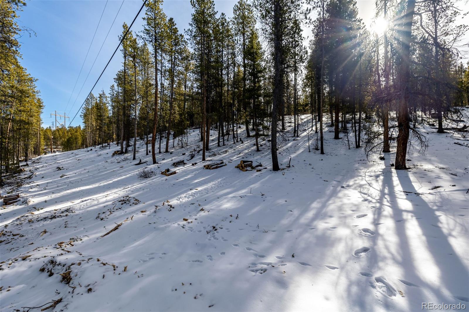 539 Sequoia Drive Leadville CO 80461