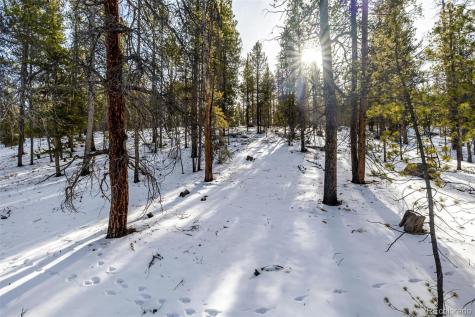 539 Sequoia Drive Leadville CO 80461